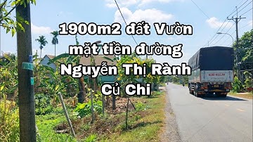 Nhà đất củ chi | giá rẻ | giới thiệu | Lô đất mặt tiền đường Nguyễn Thị Rành DT đến 1900m2
