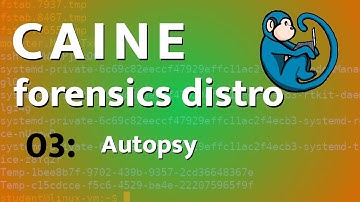 CAINE - 03 - Autopsy basics tutorial