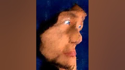 Muse - Portrait  -  Generative Art Video