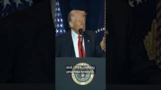 Trump Says He's 'Making Progress' to Stop War in Ukraine