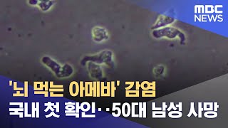 '뇌 먹는 아메바' 감염 국내 첫 확인‥50대 남성 사망 (2022.12.26/12MBC뉴스)