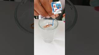 Science activities workshop