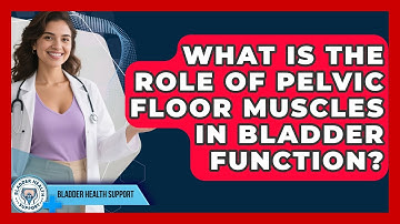 What Is The Role Of Pelvic Floor Muscles In Bladder Function? - Bladder Health Support
