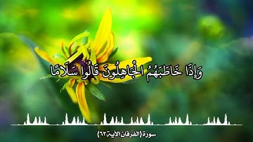 آياتٌ مختارةٌ مِنَ الذكرِ الحكيم سورةُ الفرقان ( الآية ٦٣)#هل_القرآن_الأبرار