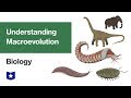 Macroevolution Insights Through Time and Evidence