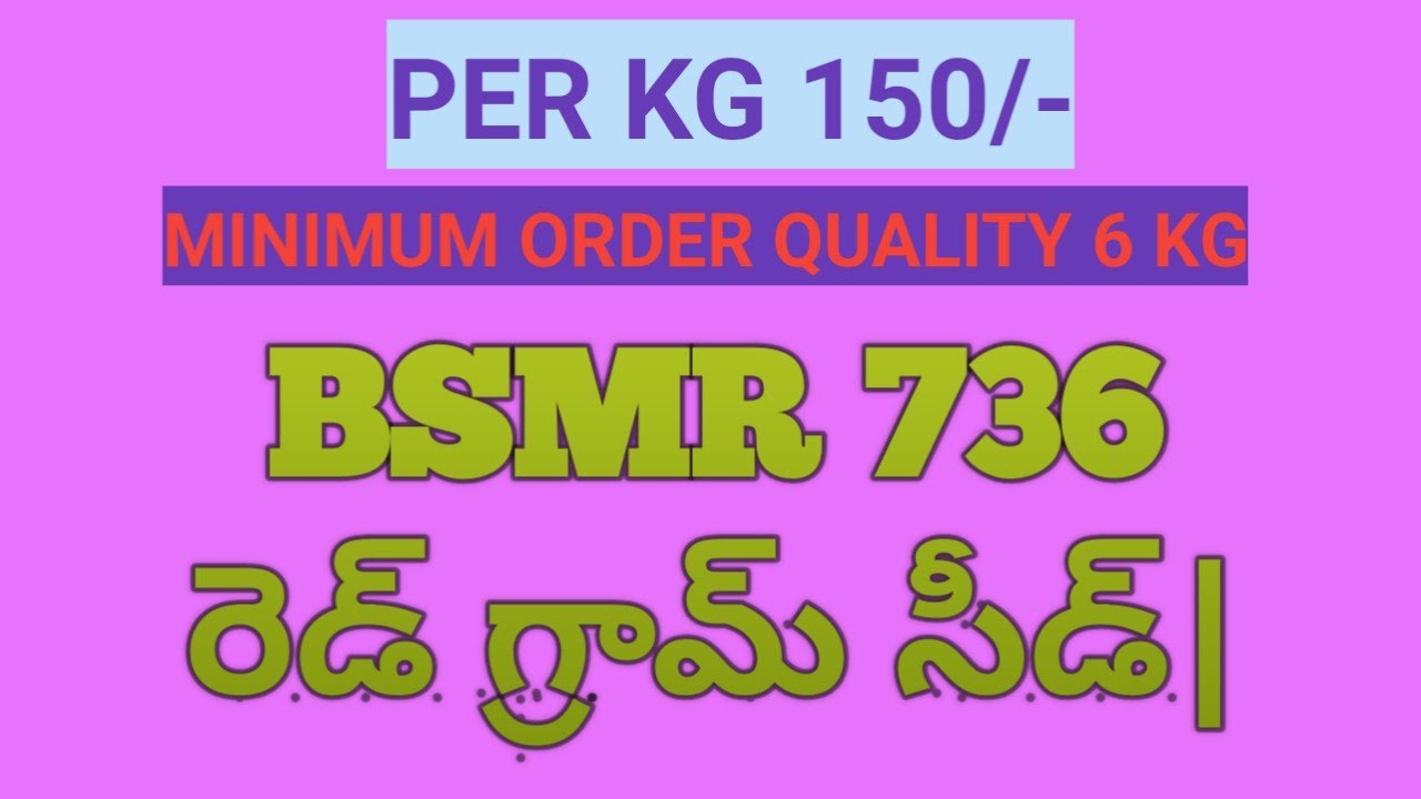 BSMR 736 రెడ్ గ్రామ్ సీడ్||BSMR 736 red gram SEED available - YouTube