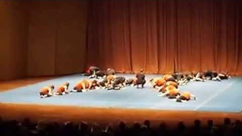 bring it on 2014: Delta Upsilon and Aopi