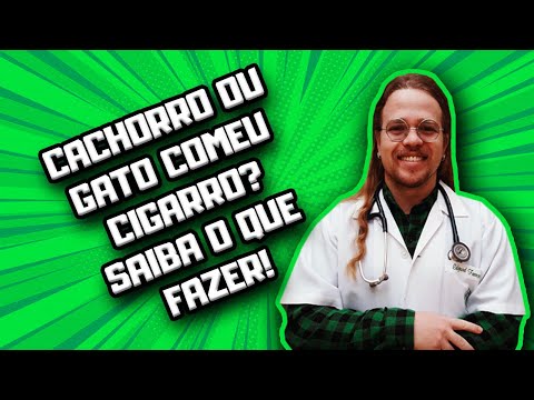 Vídeo: Quando os filhotes atingem a maturidade sexual?