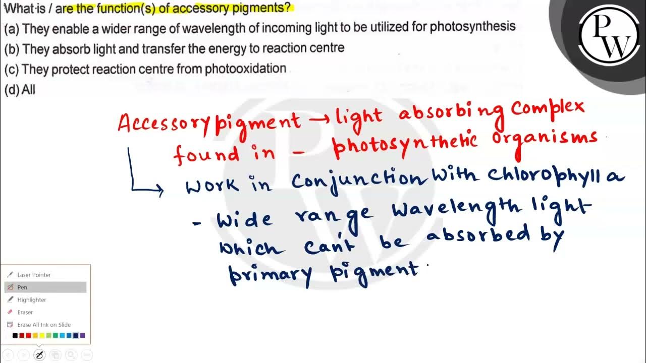 What.is / are the function(s) of accessory pigments? (a) They enab... YouTube
