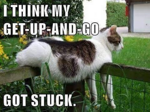 Mom got stuck in the washing machine игра. My story animated. Get stuck. Stick picture. Приставучая мелодия.