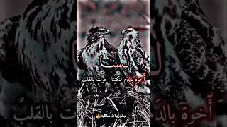 ياصاحبي أنت الكفو ماألقى متلك🦅#ستوريات#viral#تصميم#تيك_توك#حالات#ستوري#trending#youtube#tiktok