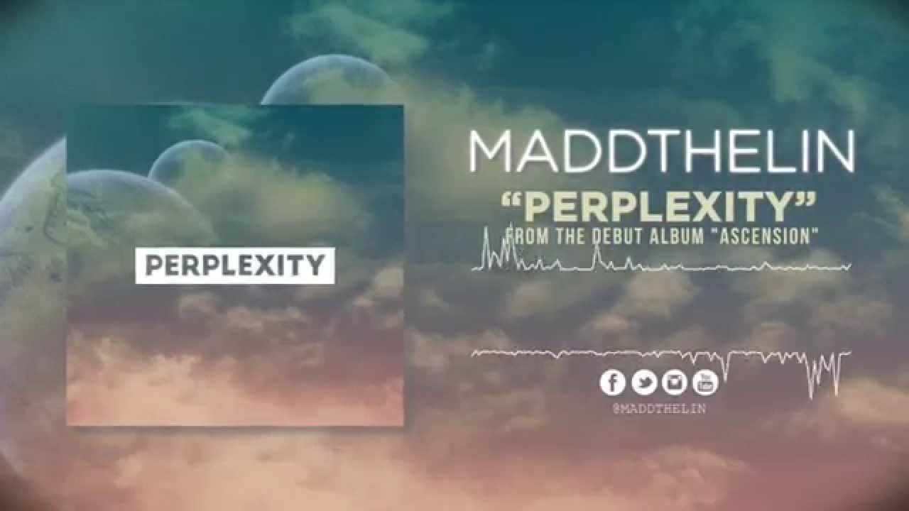 maddthelin perplexity