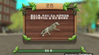 강아지 시뮬레이션  플레이 screenshot 4