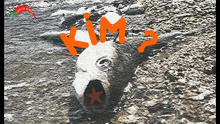 Müsi̇laj - Marmara Denizi Medya Bi̇ber - Çevre Kirliliği