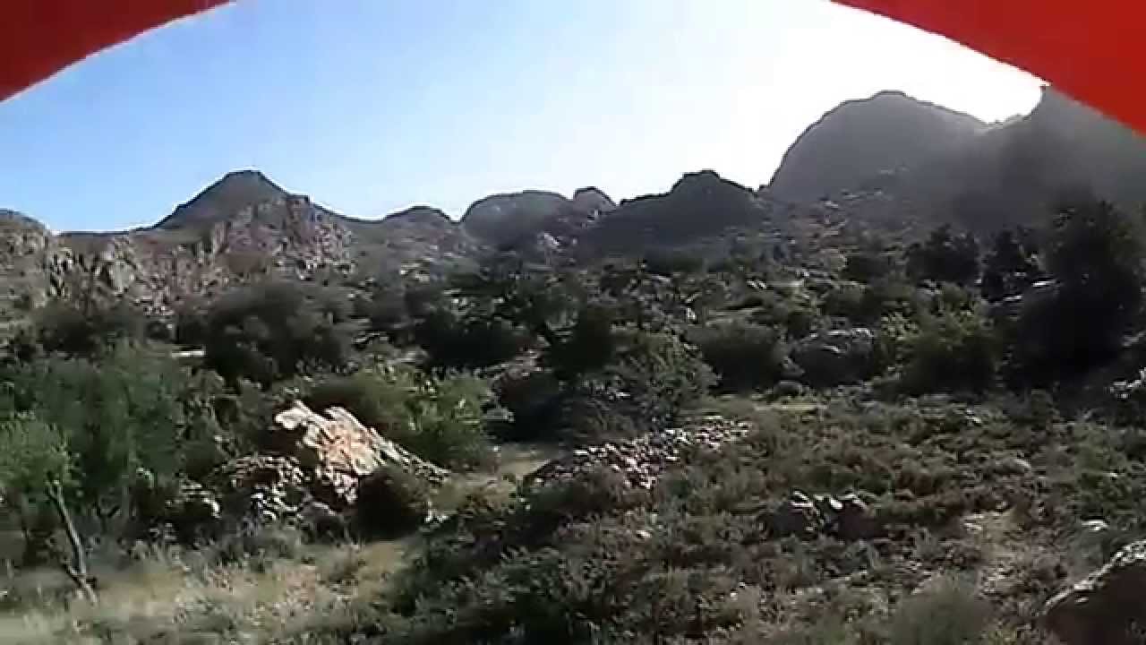 chasse au sanglier youssef casa 2 chasse au sanglier youssef casa 2 #1
