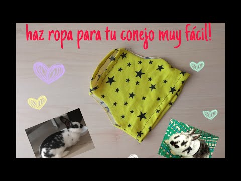 como hacer ropa para tu conejo súper fácil con patrón 🐰🐇