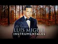 LUIS MIGUEL   INSTRUMENTALES