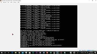 Case Study Web Server