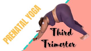 Prenatal Yoga for the Third Trimester for Plus Size Women