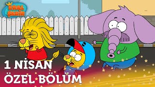 Kral Şakir'in 1 Nisan Sürprizi: Komik Anlar ve Çılgın Şakalar!