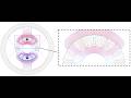 Lecture 12: Armature MMF Distribution