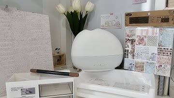 MINISO Diffuser | November Haul 2021