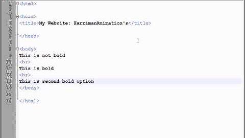 How To Make A Website: How To Bold Text
