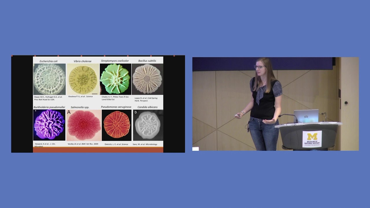 Scientist in the Forum - Janet Price | Tiny Campsites: Understanding Bacterial Communities