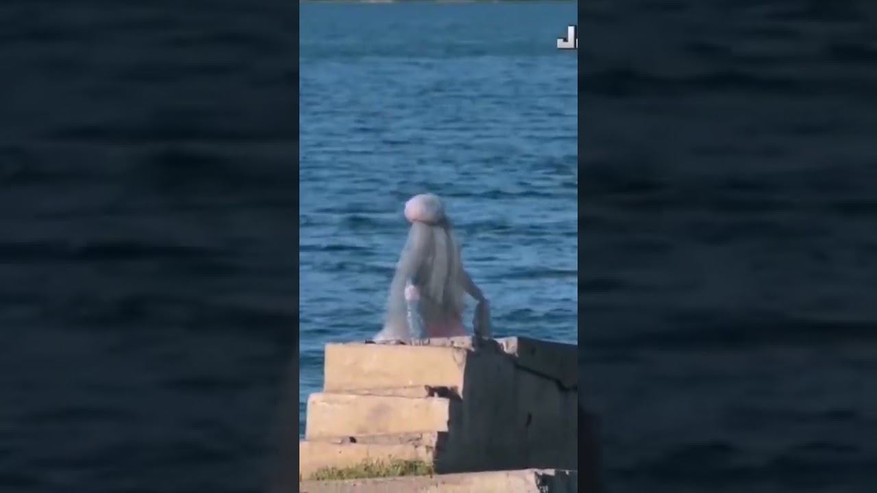 SEREIA 🧜♀️ VISTA POR TURISTA EM NEW YORK - REAL OU FAKE #shorts #foryou