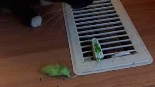 Hexbug Nano Robotic Cat Toy review