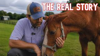 We Hid This Horse For Weeks, And Here’s Why