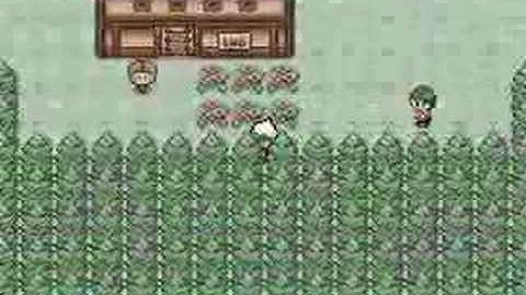 Pokemon hack (Dragonstone)