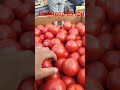 помидор 🍅 55грн