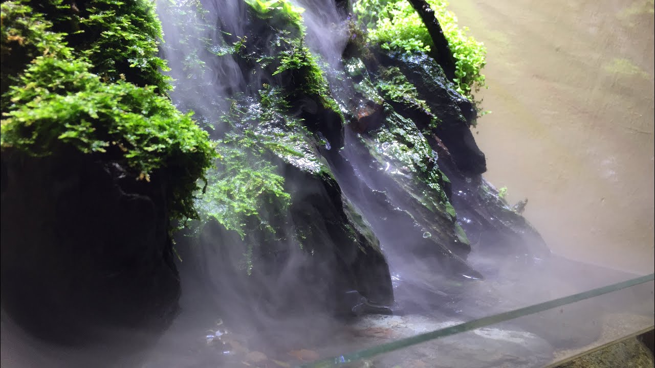 Paludarium waterfall menggunakan efek asap dari mist maker