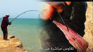 pêche cap barbas Playt talyani   تقاوس مباشرة من بلايت الطالياني كاب بارباص