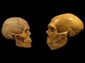 Homo Sapiens vs Neanderthals | The Evolution of Language