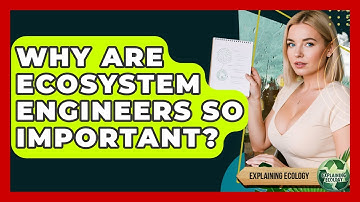 Why Are Ecosystem Engineers So Important? - Explaining Ecology