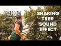 Shaking Tree Sound Effect No Copyright