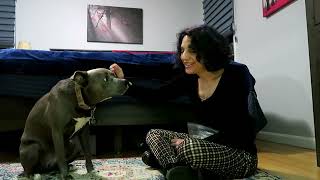 Ashley Elizabeth Pet Bull's training Journal: Ashley's story by Veronica-Lynn Pit Bull 195 views 2 months ago 7 minutes, 49 seconds