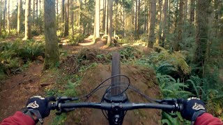 12 Step | Duthie Hill Mountain Bike Park