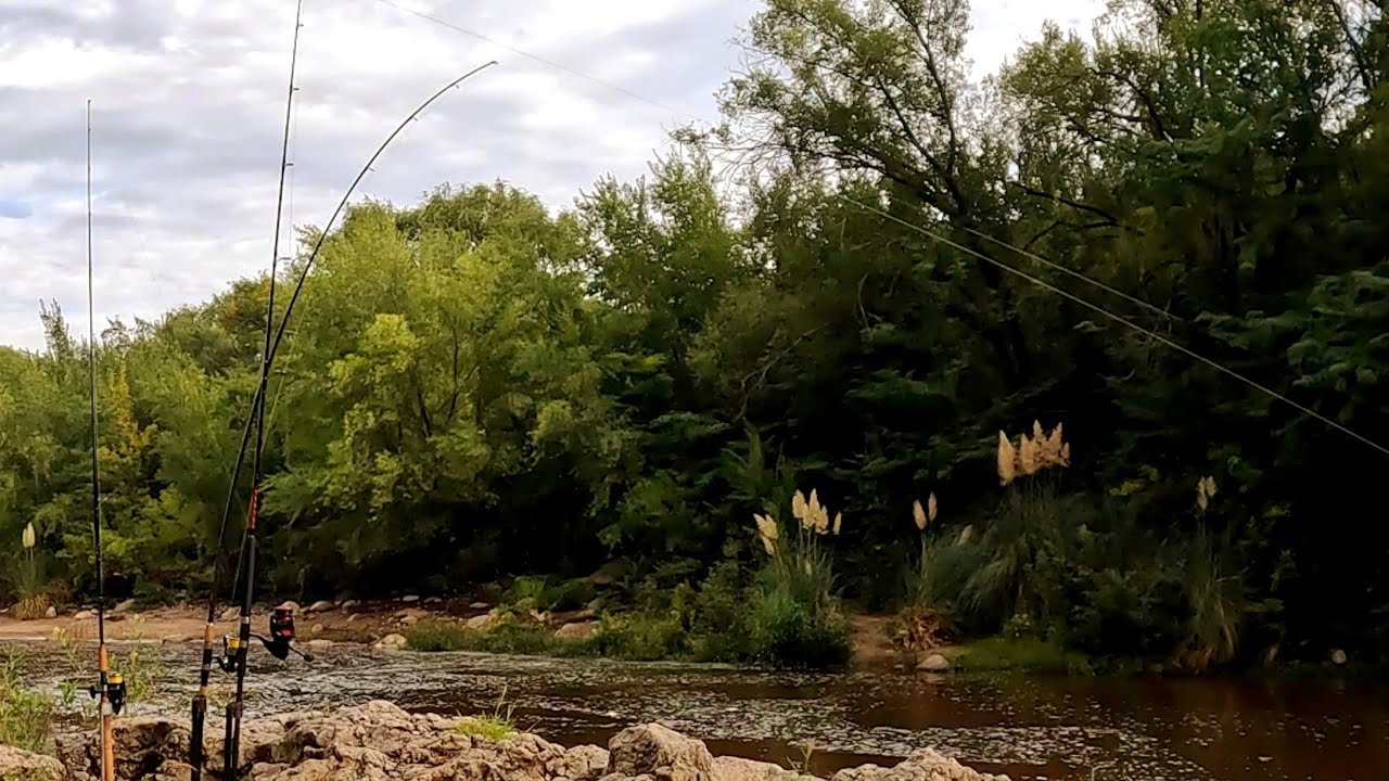 Perseverancia en Estado Puro, PESCA Carpa en Zona Muy Difícil. Bialet Massé #carpfishing #pesca 