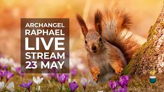 Alignment, karmic cycles, internal sabotage, being protected – Archangel Raphael Live 23/05