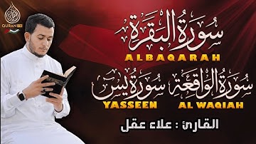 سورة البقرة، يس، الواقعة رقية للبيت وعلاج للسحر تلاوة تريح القلب وتشرح الصدر - علاء عقل