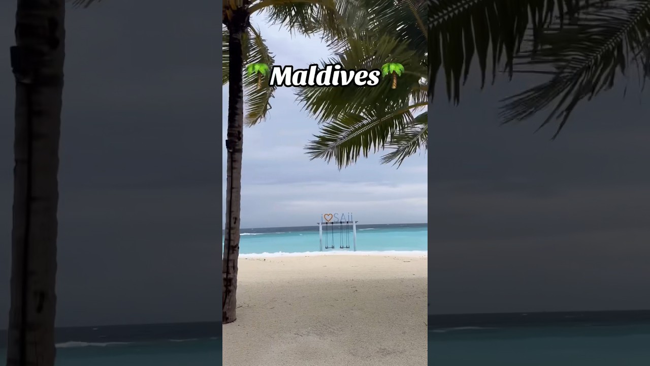 Maldives Beach Paradise: Sandy Shores and Palm Trees