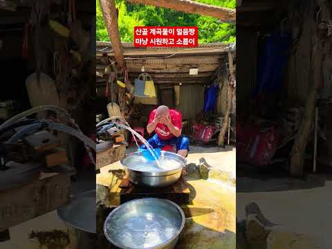 <strong>함백산</strong> 골짜기 터잡길 너무 잘했다 ᆢ