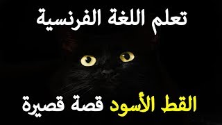 تعلم اللغة الفرنسية: شرح قصة قصيرة القط الأسود Edgar Allan Poe
