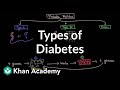 Types of diabetes | Endocrine system diseases | NCLEX-RN | Khan Academy