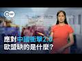 應對中國衝擊2.0 歐盟缺的是什麼？｜DW德媒怎麼說
