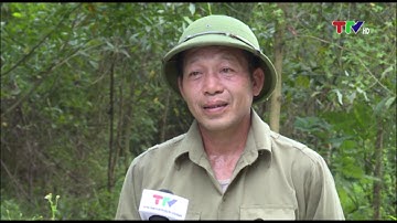 HÀM YÊN ĐIỂM SÁNG VỀ CÔNG TÁC BẢO VỆ VÀ PHÁT TRIỂN RỪNG