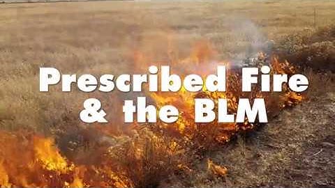 Prescribed Fire and the BLM